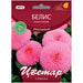 BELIS KICHEST PINK FLOWER SEEDS - Семена<<<Семена луковици и разсад<<<Градина<<<Praktiker