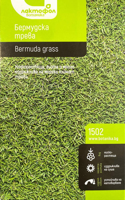 BERMUDA GRASS GROUND COVER SEEDS