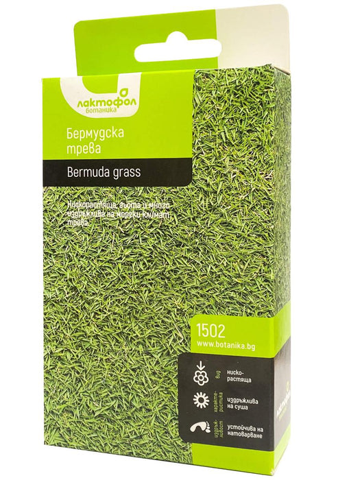 BERMUDA GRASS GROUND COVER SEEDS