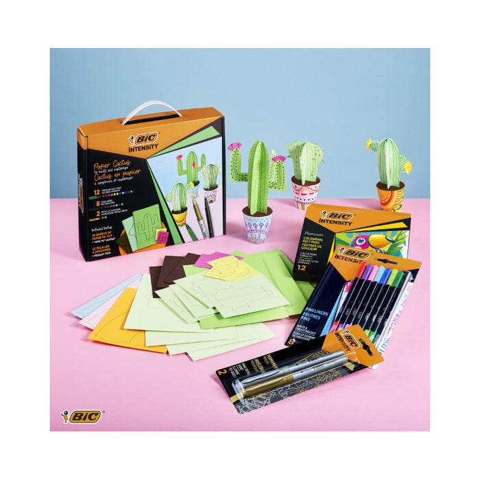 MIXED CACTUS COLORING KIT BIC