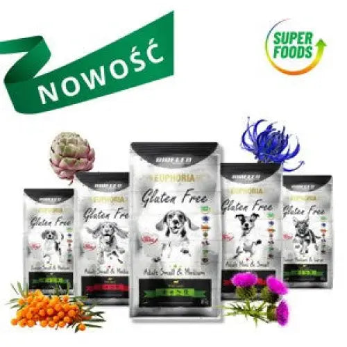 BIOFEED Euphoria Gluten Free Junior medium & large Lamb - dry dog food - 2kg - Dry foodDLP-KAS<<<For