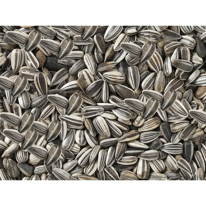 Bird food Deli Nature Premium 2,5 kg - Домашни Животни<<<Дом Градина<<<BigBuy&&&Хранене на домашни любимци<<<Домашни