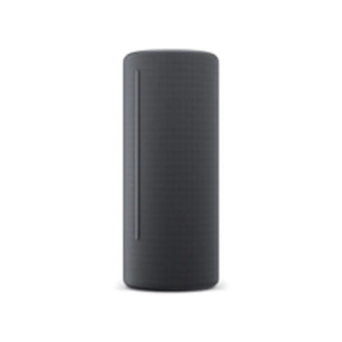 Bluetooth Speakers Loewe Grey - Електроника Звук<<<Компютри| Електроника<<<BigBuy&&&Блутут Колони<<<Електроника