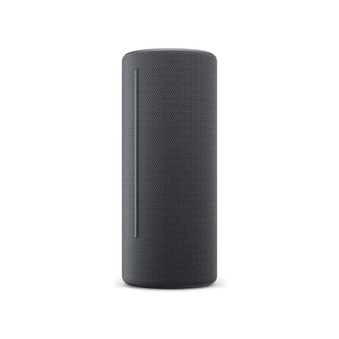 Bluetooth Speakers Loewe Grey - Електроника Звук<<<Компютри| Електроника<<<BigBuy&&&Блутут Колони<<<Електроника