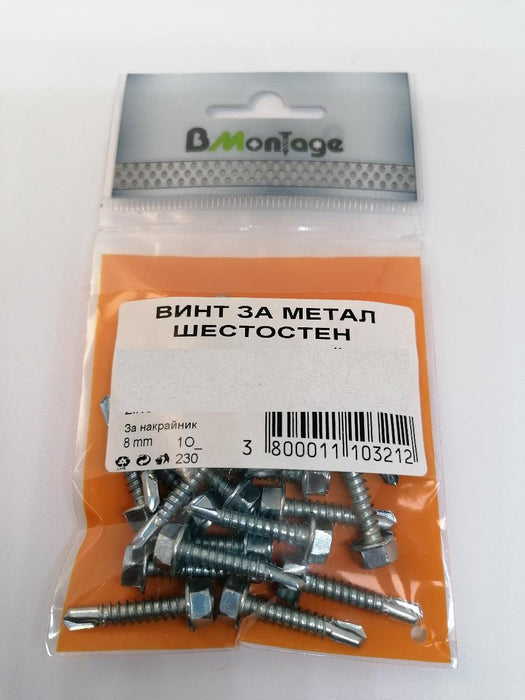METAL SCREW HEX 6.3X100 4PCS BM