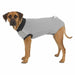 Body protector for dogs Trixie Grey S - Домашни Животни<<<Дом Градина<<<BigBuy&&&Здраве и хигиена<<<Домашни