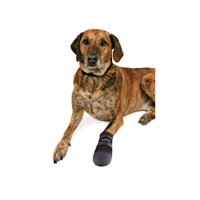 Boots Trixie Walker Care Black XXL - Домашни Животни<<<Дом Градина<<<BigBuy&&&Пътуване и разходки<<<Домашни