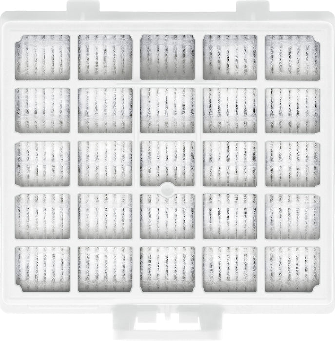 Bosch BBZ153HF, HEPA filter