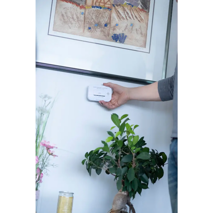 Brennenstuhl CM A 3030 carbon monoxide and gas sensor with alarm signal and LED display - white - Household