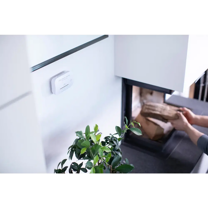 Brennenstuhl CM A 3030 carbon monoxide and gas sensor with alarm signal and LED display - white - Household