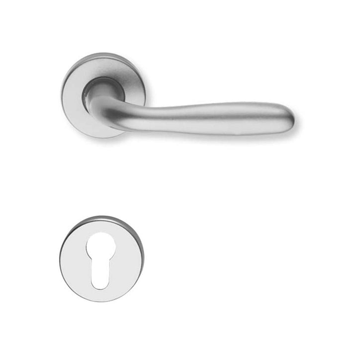INTESA ROMA DOOR HANDLE