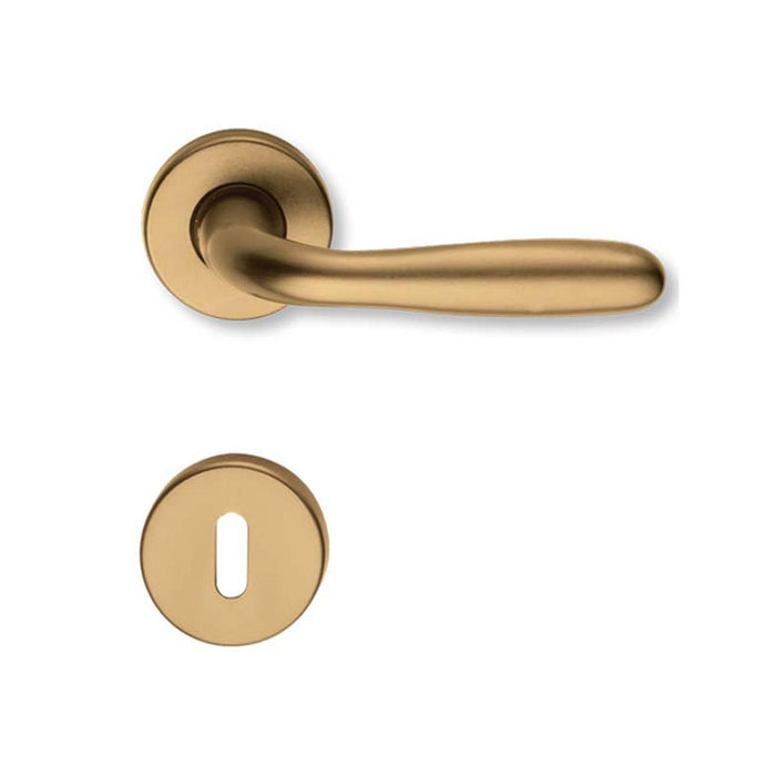INTESA ROMA DOOR HANDLE