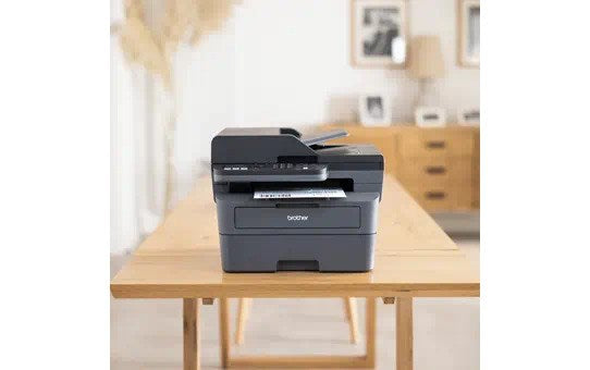 Multifunctional device Brother MFC-L2802DW