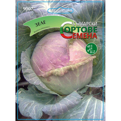 BSS CABBAGE SEEDS