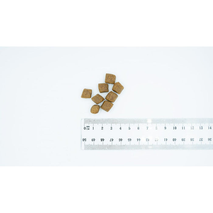 Fodder Bult Salmon with trout Fish 12 kg