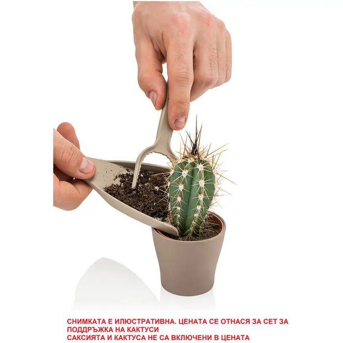 CACTUS HD MAINTENANCE SET - Кактуси<<<Стайни растения<<<Градина<<<Praktiker