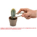 CACTUS HD MAINTENANCE SET - Кактуси<<<Стайни растения<<<Градина<<<Praktiker
