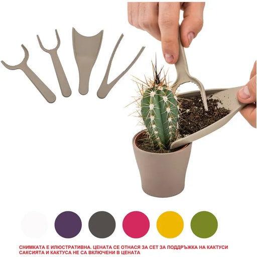 CACTUS HD MAINTENANCE SET - Кактуси<<<Стайни растения<<<Градина<<<Praktiker