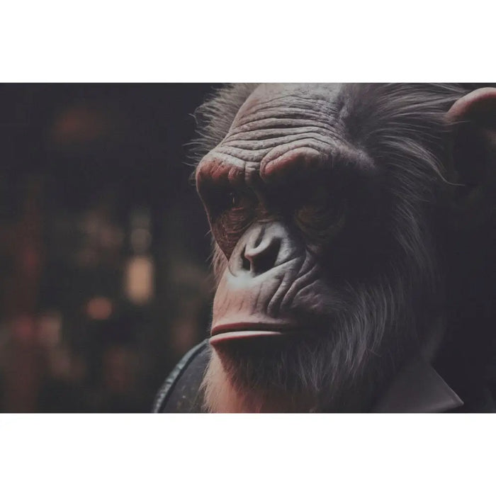 Canvas Home ESPRIT Canvas 120 x 3 x 80 cm - Декорация и Осветление<<<Дом Градина<<<BigBuy&&&Картини и