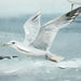 Canvas Home ESPRIT Blue White Mediterranean Seagull 140 x 3,7 x 70 cm (2 Units) - Декорация и Осветление<<<Дом