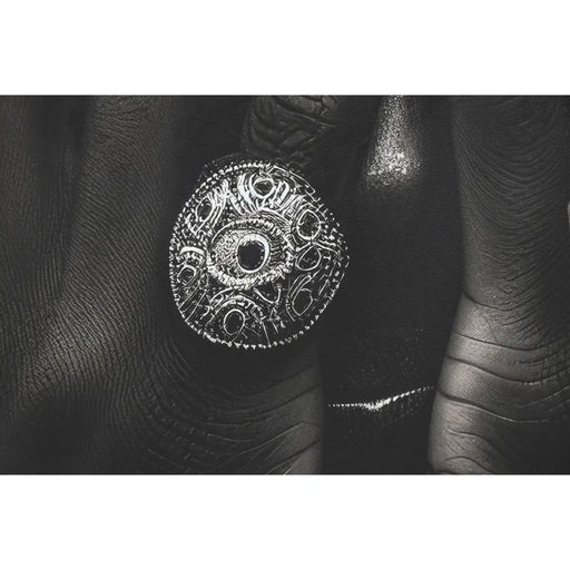 Canvas Home ESPRIT polystyrene Canvas 103 x 4,5 x 143 cm - Декорация и Осветление<<<Дом Градина<<<BigBuy&&&Картини и