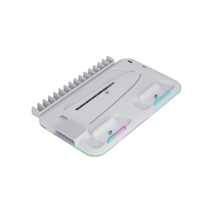 STAND FOR PS5 CANYON CND-CSPS5W-1 WHITE