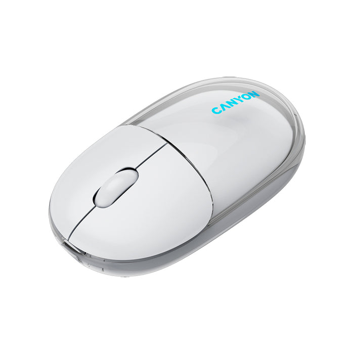 Mouse CANYON CNS-CMSW24W Silent Click