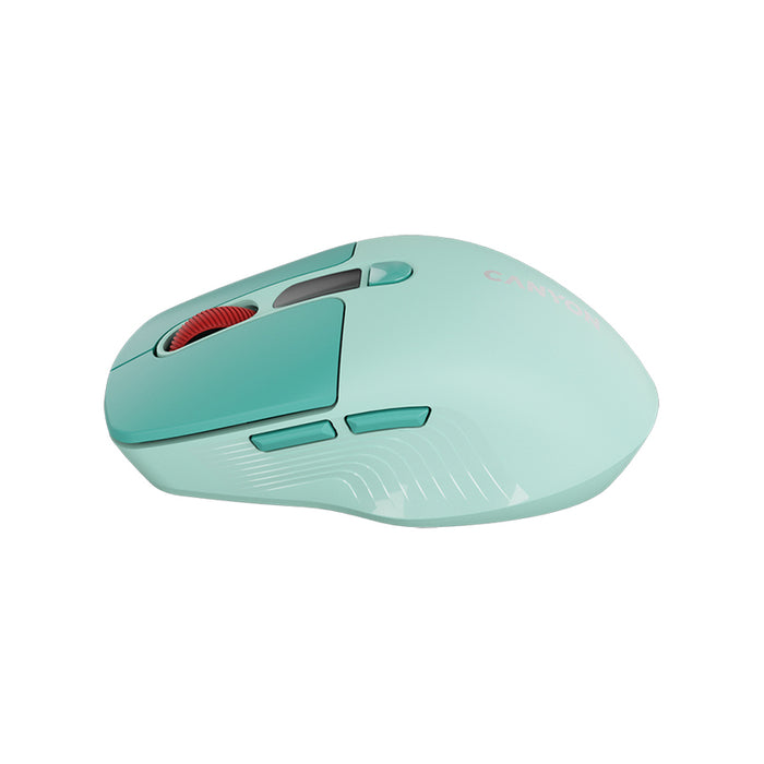 Mouse CANYON CNS-CMSW26GR Silent Click