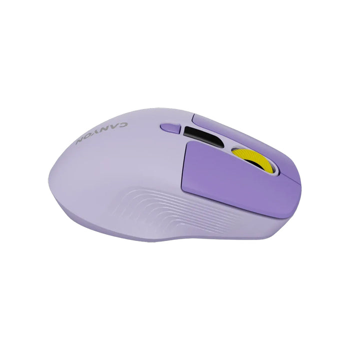 Mouse CANYON CNS-CMSW26V Silent Click