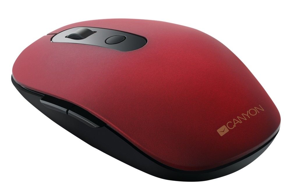 Mouse Canyon CNS-CMSW09R