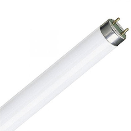LAMP 20W CARE