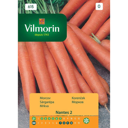 CARROT SEEDS NANTES VILMORIN - Семена<<<Семена луковици и разсад<<<Градина<<<Praktiker