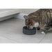 Cat Feeder Trixie Ceramic Ø 12 cm - Домашни Животни<<<Дом Градина<<<BigBuy&&&Купички за храна и вода<<<Домашни