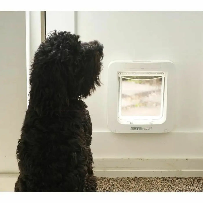Cat Flap SureFlap SUR101 17,8 x 17 cm - Домашни Животни<<<Дом Градина<<<BigBuy&&&Къщички и легълца<<<Домашни