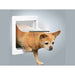 Cat Flap Trixie White Plastic 25 × 29 CM - Къщички и легълца<<<Домашни Животни<<<Дом Градина<<<BigBuy