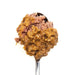 Cat food 3COTY Chicken 80 g - Хранене на домашни любимци<<<Домашни Животни<<<Дом Градина<<<BigBuy&&&Wet