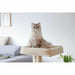 Cat scratching post Kerbl Beige - Домашни Животни<<<Дом Градина<<<BigBuy&&&Здраве и хигиена<<<Домашни Животни<<<Дом