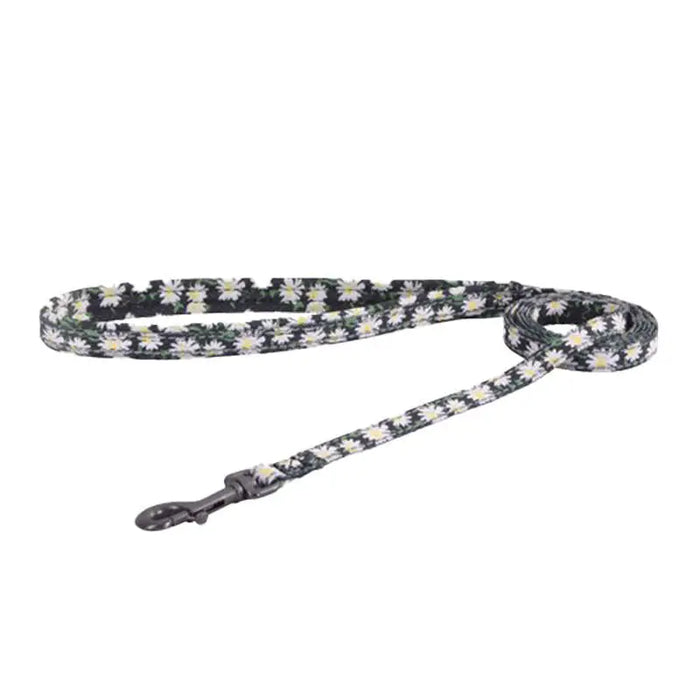 Cat set Dogness harness and leash 1,5m (Daisy Black) - Walking and transportation<<<Pets<<<InnproXML