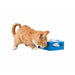 Cat toy Trixie Grey Plastic Ø 22 cm - Домашни Животни<<<Дом Градина<<<BigBuy&&&Играчки<<<Домашни Животни<<<Дом