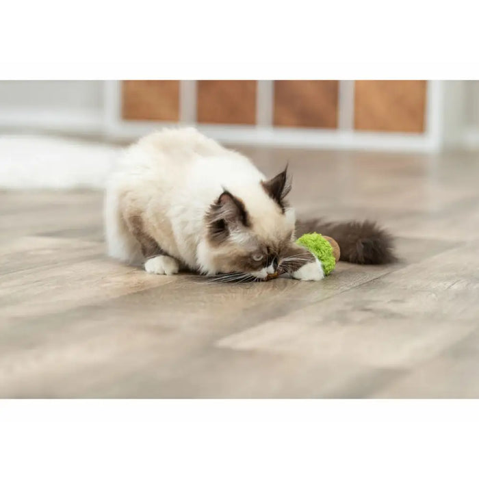 Cat toy Trixie Lolli XXL Green - Домашни Животни<<<Дом Градина<<<BigBuy&&&Играчки<<<Домашни Животни<<<Дом