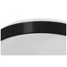 Ceiling Light Activejet AJE-AIDA 24W White Black 80 24 W (4000 K) - Лампи<<<Декорация и Осветление<<<Дом