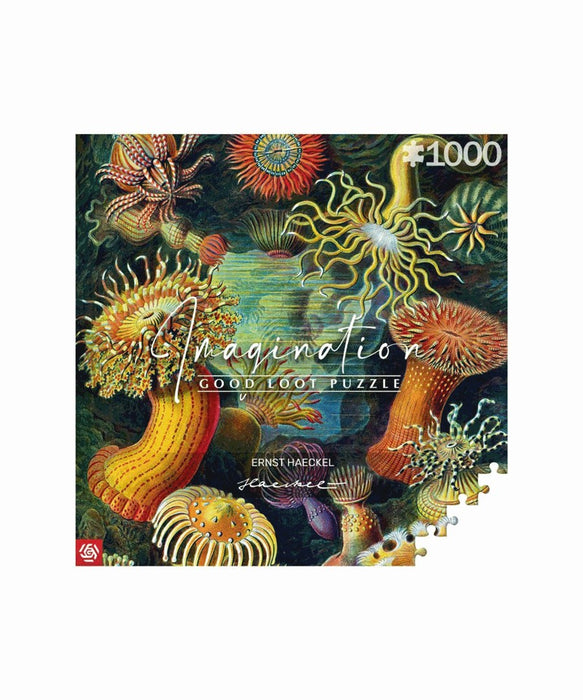 Imagination Puzzle: Ernst Haeckel Sea Creatures 1000 elements