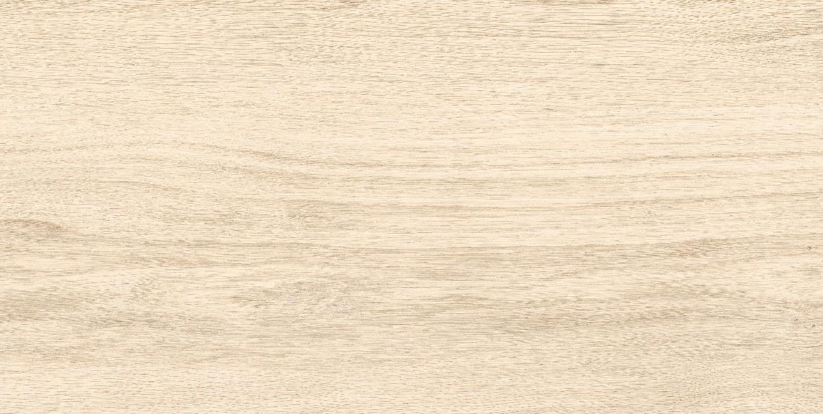 PORCELAIN TILE NATURAL WOOD IVORY 31X62