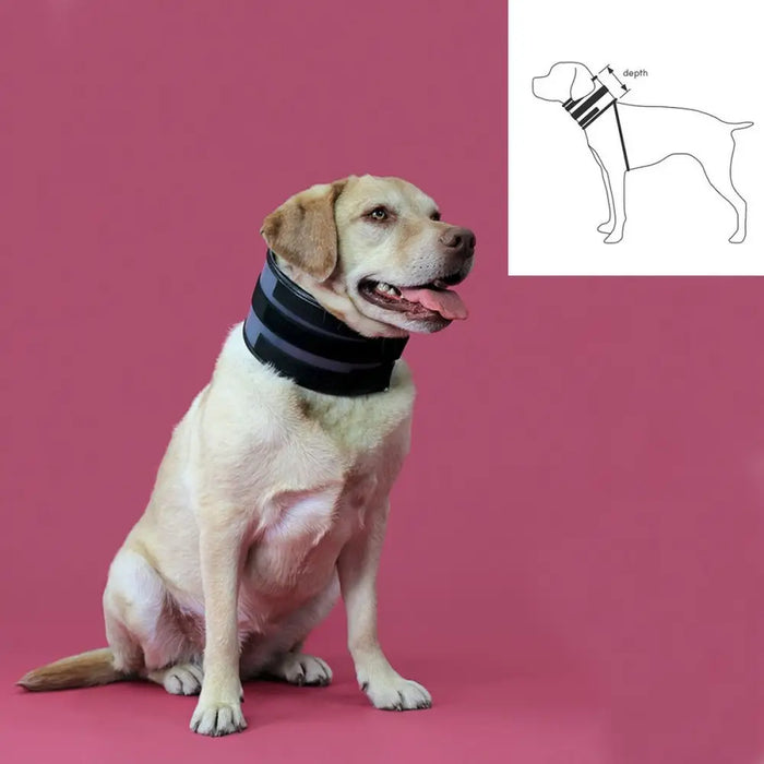 Cervical Collar for Dogs KVP Black (13-48 cm) - Домашни Животни<<<Дом Градина<<<BigBuy&&&Здраве и хигиена<<<Домашни