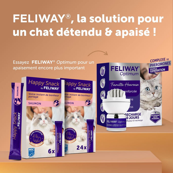 Wet food Ceva 12 g