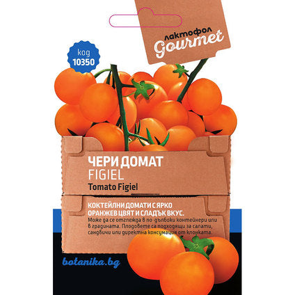 CHERRY TOMATO SEEDS FIGIEL GOURMET - Семена<<<Семена луковици и разсад<<<Градина<<<Praktiker