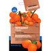 CHERRY TOMATO SEEDS FIGIEL GOURMET - Семена<<<Семена луковици и разсад<<<Градина<<<Praktiker