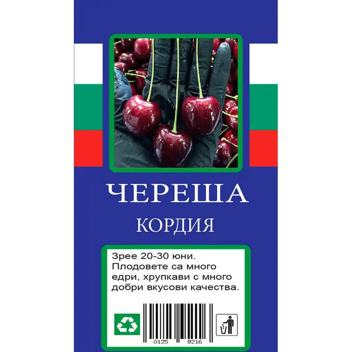 CHERRY WITH PACKAGED ROOT - Овошки<<<Външни растения<<<Градина<<<Praktiker