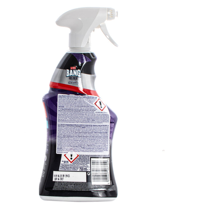 ANTI-MOLD PREPARATION 750ML SPRAY CILLIT BANG