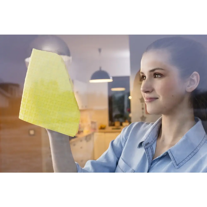 Cleaning Cloth Vileda window’s Actifibre 1 pc(s) - DishtowelsSPD-SCI<<<Cleaning and home careSPD<<<ActionPL